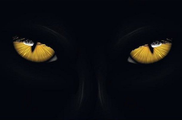 黄色的眼睛黑色的豹