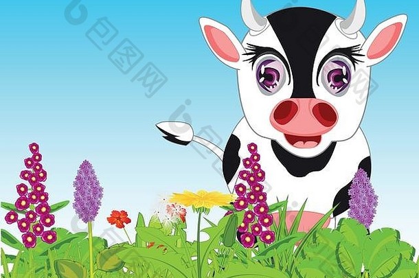 宠物奶牛在草地上吃草