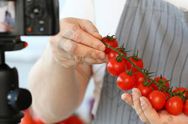 专业博客记录小番茄樱桃