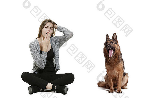 打呵欠的无聊女人和她的狗在白色背景下。设得兰牧羊犬坐在白色工作室背景前。人和动物有相同的情感