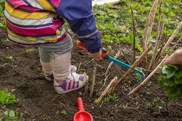 小女孩探索花园帮助春天清洁