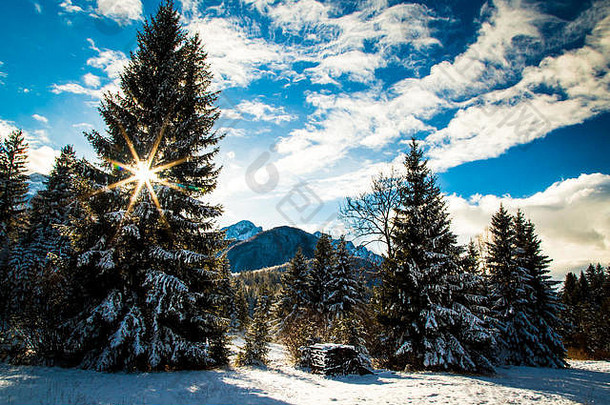 意大利阿尔卑斯山冬季的第一场雪