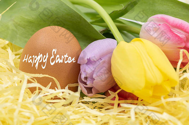 快乐复活节写英语鸡蛋柔和的郁金香复活节