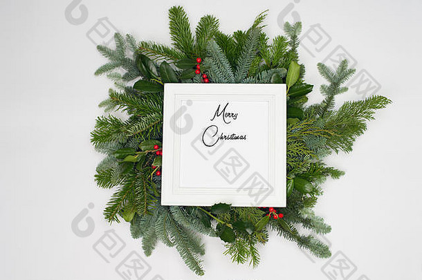 不同冷杉品种的一圈树枝。绿色和蓝色的冷杉。白色框架显示英文文本：圣诞快乐。
