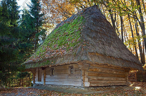 乌克兰历史悠久的乡村木屋，茅草屋顶长满苔藓
