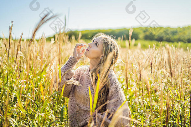 年轻美丽的女人在秋天的风景里，开着干花，长着麦穗。时尚秋冬。阳光明媚的秋天，舒适的秋天毛衣。时尚照片