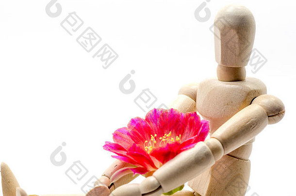 木偶坐着，拥抱着粉红色的花朵。在白色背景（孤立）上，木偶的影子反射在白色地板上。