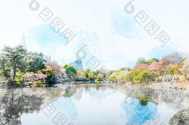 美丽的风景红色的叶开花樱花清晰的池塘明亮的生动的蓝色的天空春天樱桃开花季节新宿gyo公园东京日本