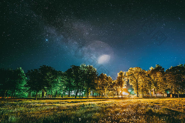 夜空下，公园里绿树成荫。夏季草地上的夜景，有着真正发光的银河系星星。从