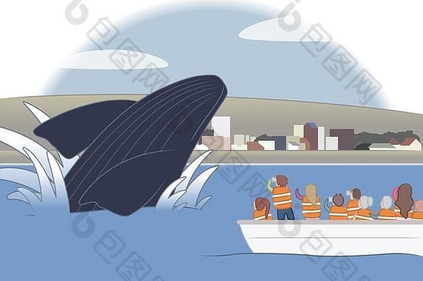巴塔哥尼亚马德林港的鲸鱼群平