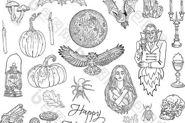 万圣节，秋天，魔术，哥特式，幻想涂鸦符号，孤立的物体，黑白相间。南瓜，蜡烛，圣杯，秋叶，蝙蝠，蜘蛛，满月，灯笼，蘑菇，猫头鹰，水晶，吸血鬼。