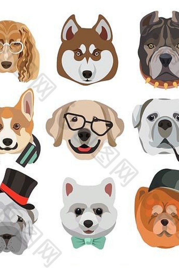 戴眼镜、帽子或烟斗的狗头或脸