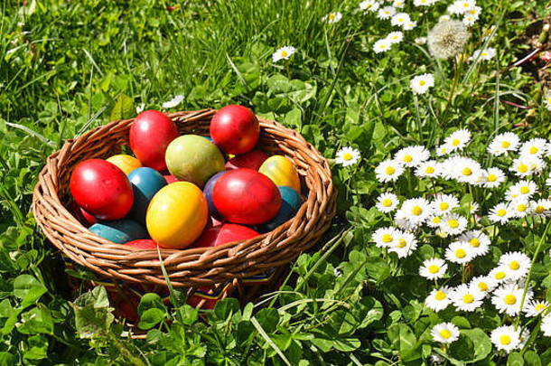 色彩斑斓的复活节鸡蛋绿色草白色春天花