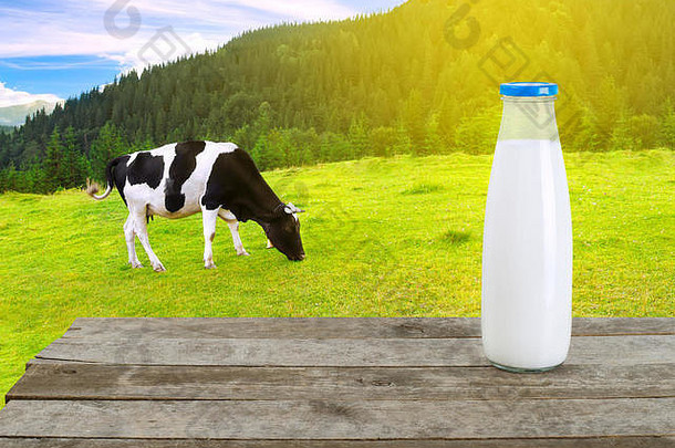 牛奶装在玻璃瓶里，放在旧木桌上，背景是阳光明媚的山区草地上放牧的奶牛。以奶牛为背景的牛奶