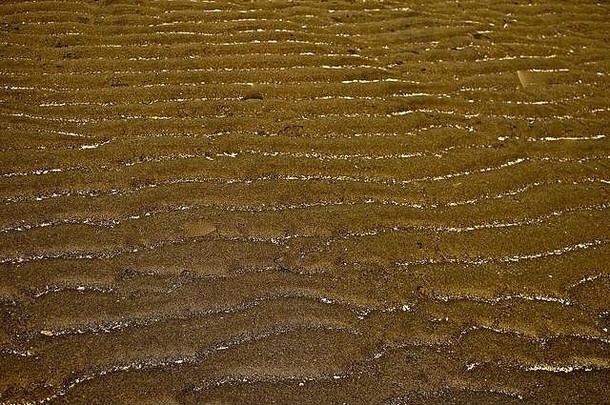 低潮普吉声音揭示了的事情隐藏的水沙子标记低潮流海滩