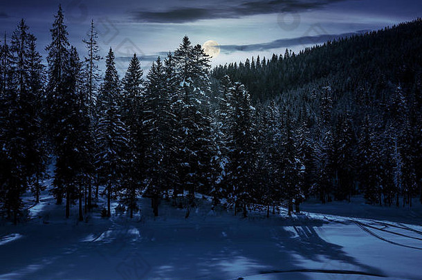 冬日云杉林在月圆的夜晚。<strong>神州</strong>美景