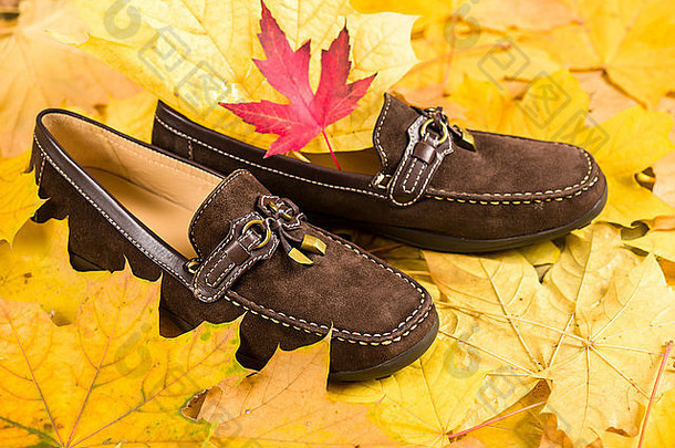 秋叶背景上的鞋子