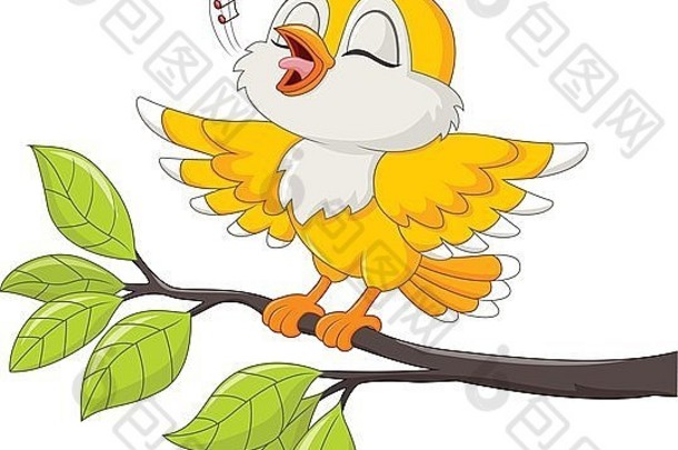 可爱的黄色的鸟唱歌孤立的白色背景