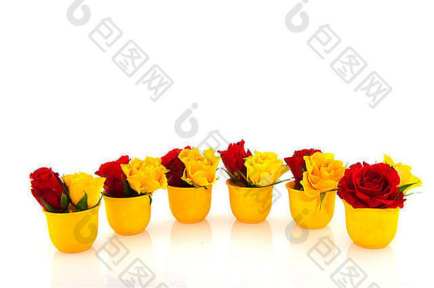 蛋杯中的红玫瑰和黄玫瑰在白玫瑰上分开