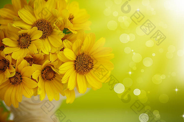 绿色背景上的黄色雏菊的夏季花束