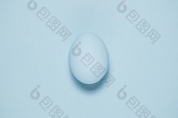 淡蓝色背景上的普通蓝色蛋的平坦产卵。的空间。最小概念。