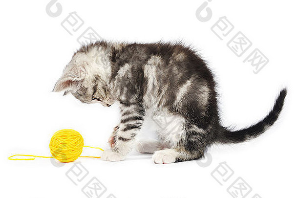 灰猫在白色地板上玩一条黄色的线