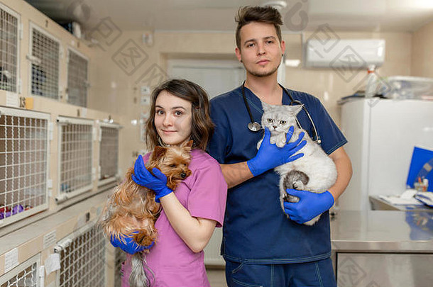 医生，兽医，一个女孩和一个穿制服的男人在一家兽医诊所的医院背景下牵着一只猫和一只狗。