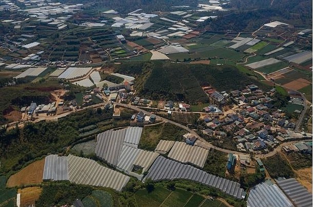 大叻年越南空中照片农业区域显示农场山温室高地区域Arabica咖啡