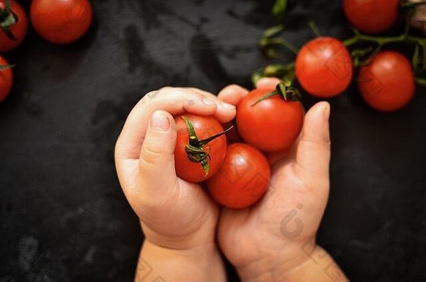新鲜的健康的蔬菜沙拉樱桃西红柿欧芹莳萝黑暗背景免费的空间文本西红柿手