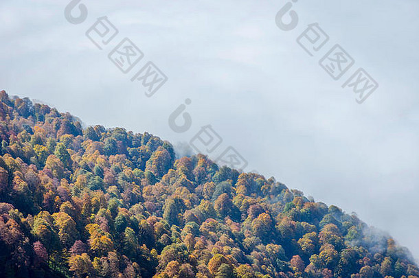五彩缤纷的秋林从上面穿过云层