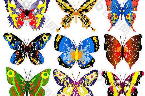 选择明亮彩色的说明通用的蝴蝶