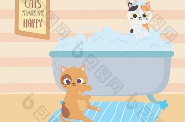 猫让我高兴，猫在地毯上，小猫在浴缸里洗衣服