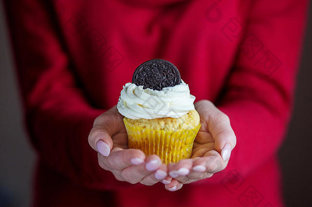 蛋糕香草奶油饼干概念食物甜点面包店庆祝活动生日