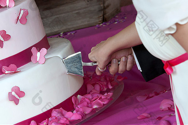 新娘新郎减少婚礼蛋糕