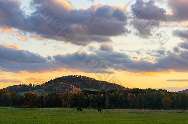 日落在格罗斯伯格山上，马在牧场上。格罗斯伯格是德国萨克森州格罗斯森纳斯多夫附近的一座小山
