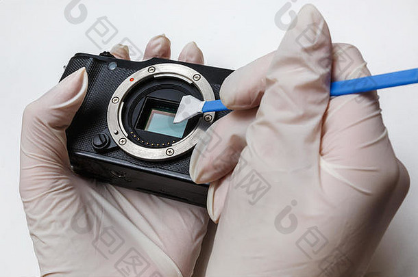 无镜数字APS-C脏相机矩阵传感器特写镜头使用拭子清洁和维护，摄影师清洁白色背景上的照相/摄像机