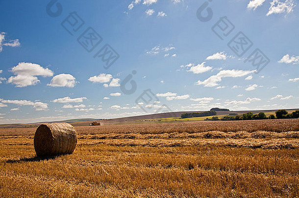 英国威尔特郡圆道下附近田地里的干草制作