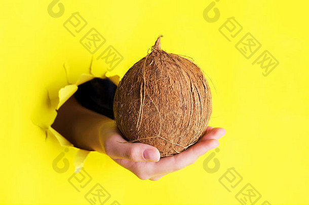 手拿着一个大椰子穿过撕破的黄色纸墙上的一个洞。生物有机产品食品的特别优惠和优惠。零浪费