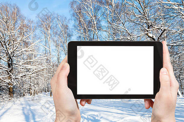 旅游理念-莫斯科市城市公园冬季森林林间空地的<strong>旅游照片</strong>，在智能手机上显示，带有空屏幕，空白位置为