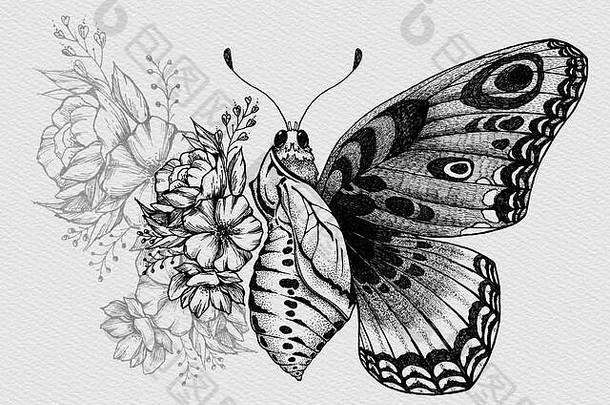 蝴蝶纹身设计花蝴蝶出生