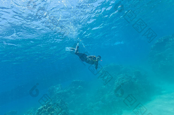水下珊瑚礁摄影师