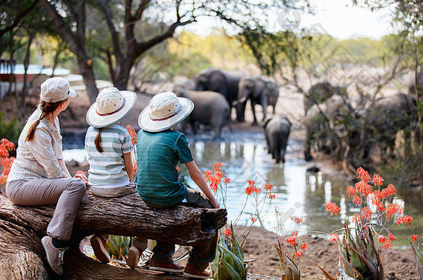 家庭妈妈。孩子们非洲Safari假期享受野生动物查看浇水洞