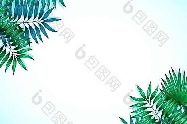 彩色热带叶子的框架。设计邀请函、贺卡和壁纸的丛林概念。