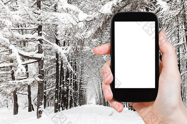 旅行概念旅游照片白雪覆盖的落叶松小巷城市公园冬天莫斯科城市智能手机空断路屏幕等等