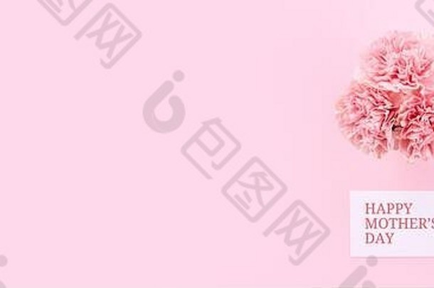 母亲节设计理念-淡粉色背景上的粉色康乃馨，带有感恩贺卡和文字，俯视图，平面布置，空间