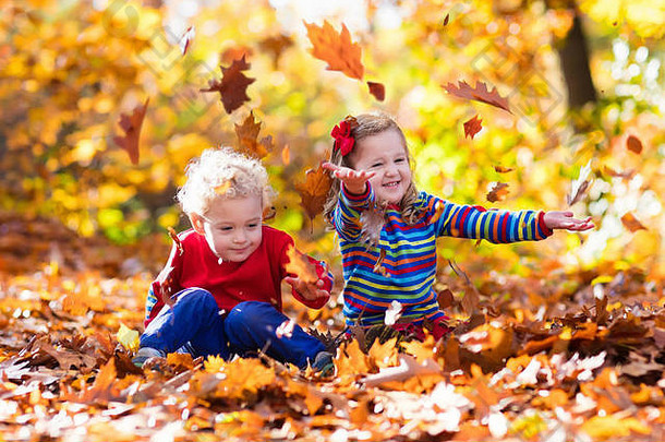 快乐孩子们玩美丽的秋天公园温暖的阳光明媚的秋天一天孩子们玩金枫木叶子