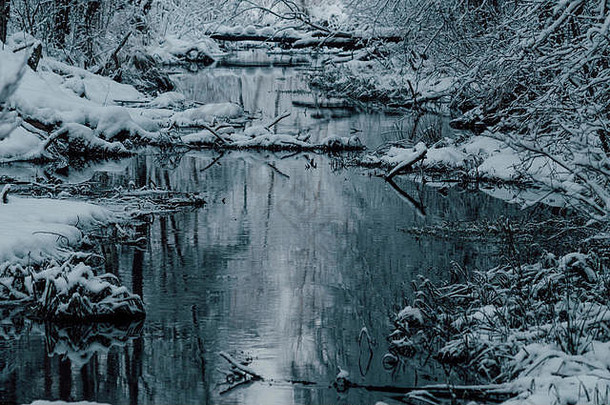 小河中间雪森林冬季景观