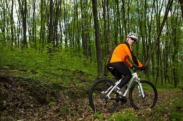 骑自行车的人在夏日森林的小道上骑自行车