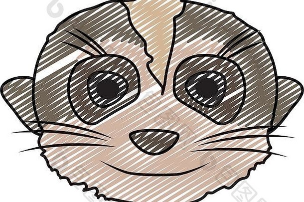 涂鸦可爱的猫鼬头野生动物