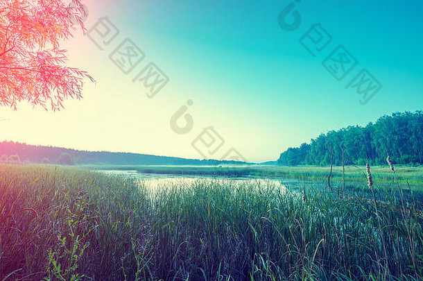 农村景观早期早....荒野野生湖